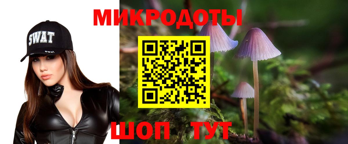Галлюциногенные грибы ЛСД  Вход с VPN  Лесной 